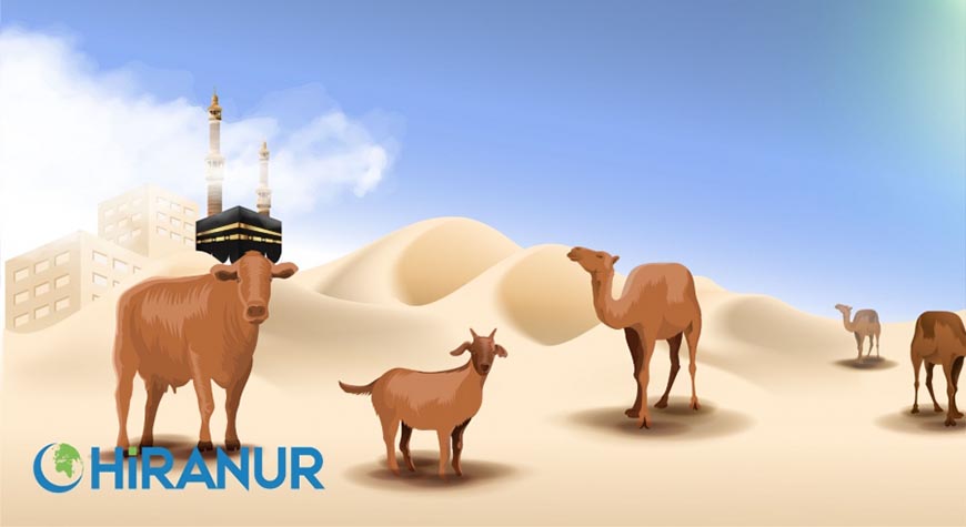 İslami Şartlara Uygun Kurban Kesimi ve Önemli Noktalar!