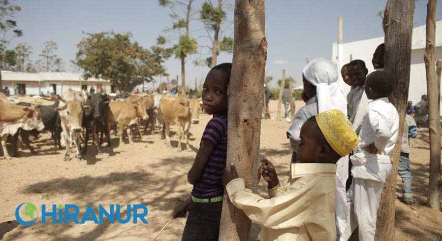 Kurban Bağışlamak için Bilmeniz Gerekenler!