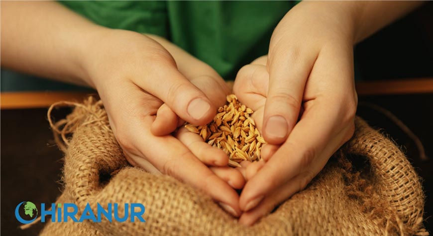 Nisab Nedir? Nisab Hesaplama Nasıl Yapılır?